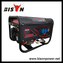 Bison China Zhejiang Manufacture Price 2kw BS2500 1/3 Phase Gasoline Generator